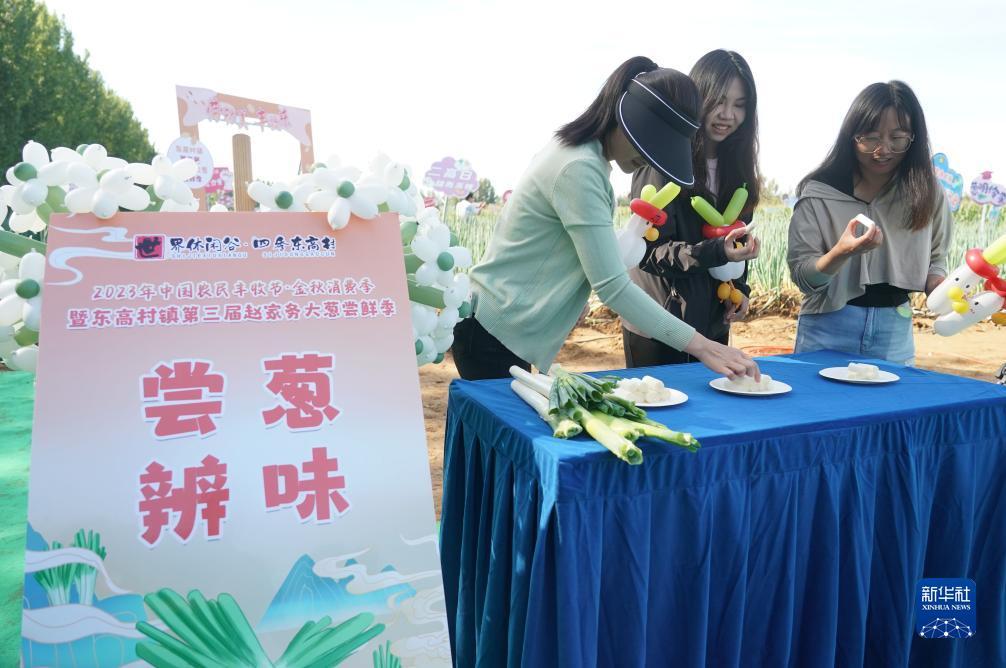 博诚策略论坛
